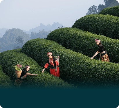 فيتنام شمال ووسط شخصين 8 ليالي 5 نجوم